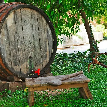 Prázdninový dům Holiday - Cin11004-f Orebić